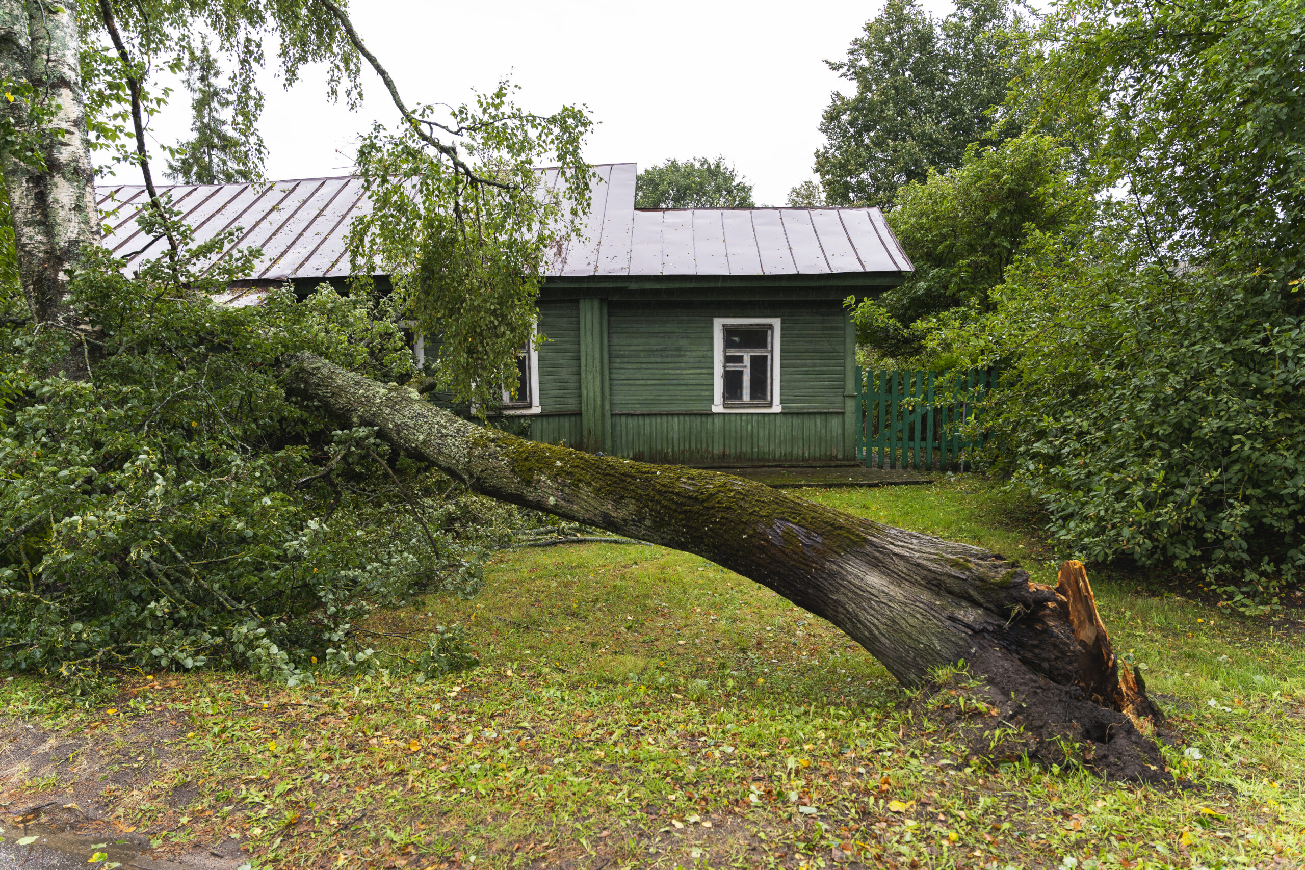 A photograph demonstrating the type of storm damage Jackson Property Management can take care of.